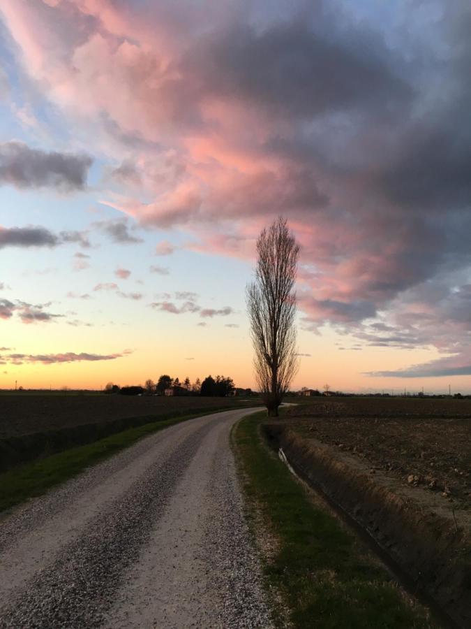Il Frattiero B&B Voghenza Exterior foto